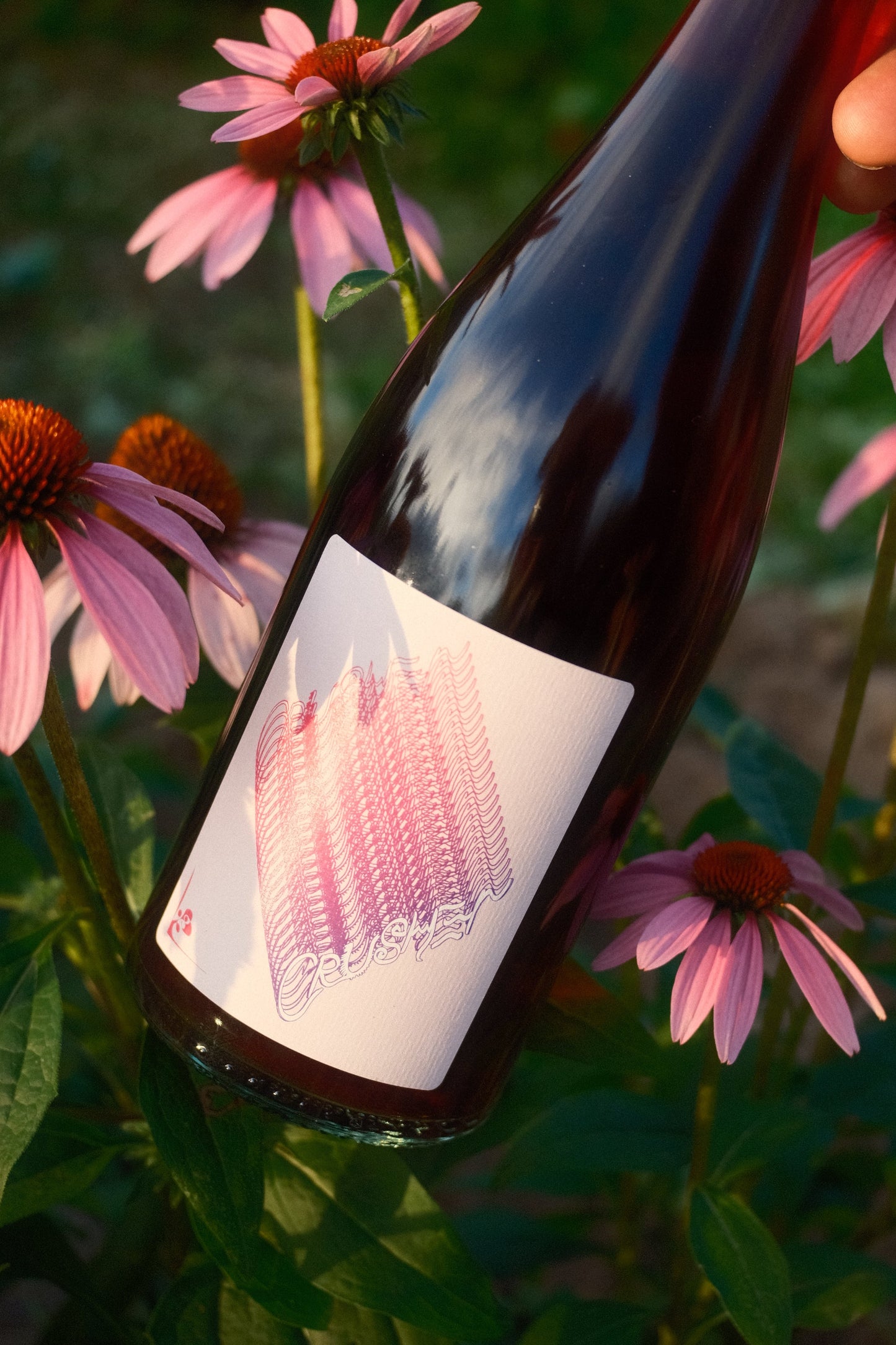 Bottle of red wine with a label held over pink flowers